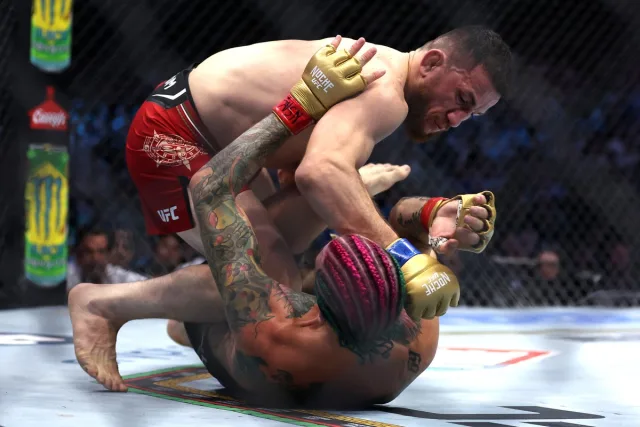 ufc 316